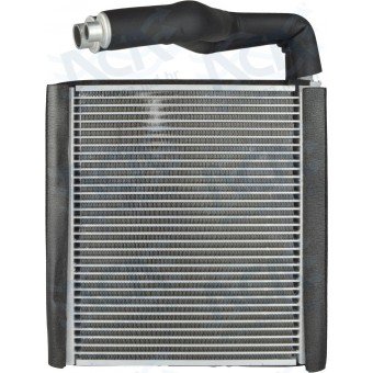 EVAP FORD TRANSIT CXA TRASEIRA 21 >