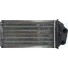 RADIADOR AQ FIAT IDEA/ PALIO/PALIO WEEKEND/SIENA/STRADA 01/12 FIRE IMPORT - Imagem: 1