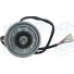 MOTOR 2 EIXO 3V 12V 125MM BRUSHELES C/CARACOL ACA KT 2800 BUS - IMP - Imagem: 4