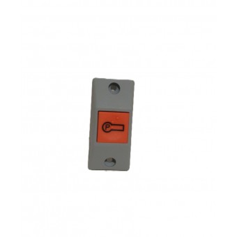 INTERRUPTOR  DE PARADA SOLICITADA CINZA CLARO 12V/24V