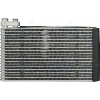 EVAP LAND ROVER DISCOVERY 3 05 >09 / 4 10 >16 TRAZ CXA DENSO