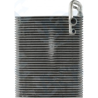 EVAP MBZ SPRINTER 12 > 19 ( REPOSICAO ORIGINAL)