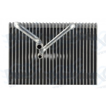 EVAP INTERNACIONAL 4300 11>19 / 4400,7400 PROSTAR 11 >15/DURASTAR 13 >15