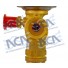 VALVULA EXP BUS DANFOSS TGEN 7,0 TR MOP55 5/8X3/4 - Imagem: 3