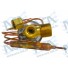 VALVULA EXP NISSAN  ENTR M16X1.5 SAID M20X1.5 EQUAL M12X1.25 - Imagem: 3