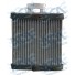 RADIADOR AQ VW POLO CXA BEHR ORIG IMP - Imagem: 4