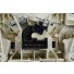 COMANDO AC FIAT LINEA/PUNTO ANALOGICO PRETO ORIG - Imagem: 9