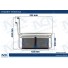 RADIADOR AQ SCANIA S5 PGR 08 >18 - Imagem: 12